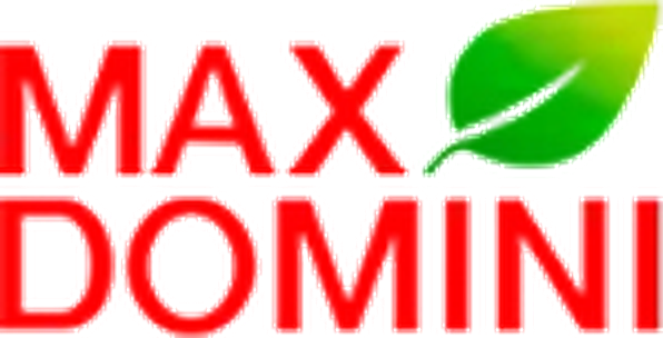 Max Domini
